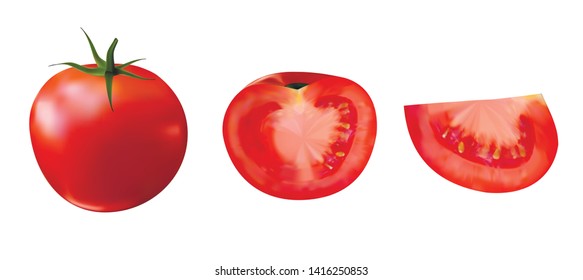 3d highly realistic fresh red big tomato whole and slice on half isolated on white background vector gradient mesh illustration. Vector illustration design elements set 