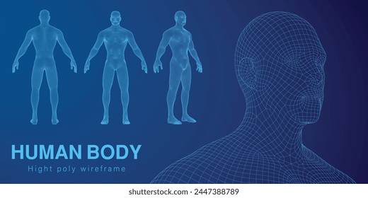 3d hight poly wireframe human body on blue background