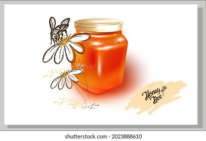 3d Honey Glass Jar illustration with honey.Vector Metal screw cap lid.A bee on a flower. Chamomile.Sketch.