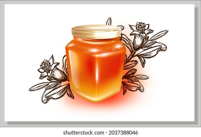 3d Honey Glass Jar illustration with honey.Vector Metal screw cap lid.Sketch.Pomegranate flower pencil drawing, branch with leaves. Hand-drawn pencil drawing on a white background. Vector image.