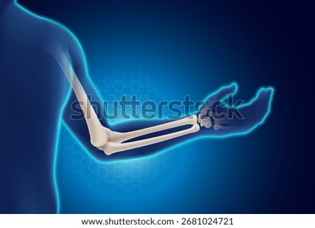 3D human arm skeleton showing elbow joint, radius and ulna bones on a glowing blue medical background. Suitable for healthcare, anatomy, and medical education content. Vector illustration.