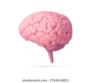 3d human brain rendered on clean white background. Medical vector brain for educational materials, health and science presentation, psychology blog, tech and innovation branding