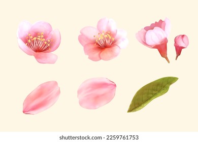 3D illustrated cherry blossom set isolated on pale yellow background. Including blossoms, flower buds, petals and leaf.