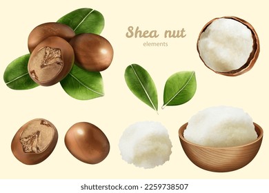 3D illustrated shea nut element set isolated on ivory background. Including nuts with and without leaves, open one with butter, and butter in wooden bowl.
