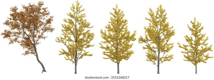 3D-Illustration von Acer,Ginkgo-Bäumen auf transparentem Hintergrund