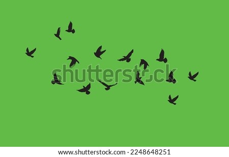 3d illustration - Birds Flying on Green background- shadow black ink icons of crane birds- With Green Screen, Green Background, Green BG, Bird Fly, Flock Bird Fly, 3d illustration - Vector, 