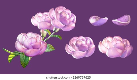 3D illustration of blooming jasmine glass flower and petals isolated on purple background.