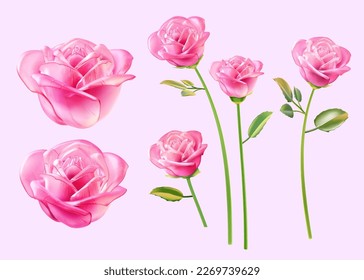 3D illustration of blooming rose glass flower, green stem with flowers and leaves isolated on light pink background.