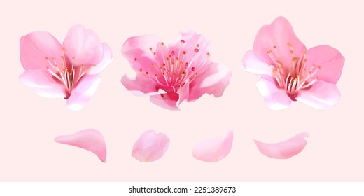 3D Illustration of blooming sakura flowers and petals isolated on light pink background.