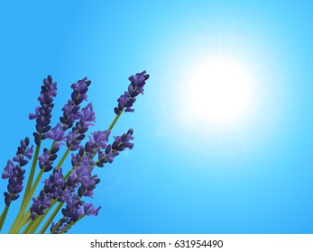 3D Illustration of a Bunch of Lavender Over Blue Sunny Sky Background