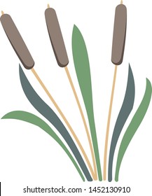 3d illustration of a cattail plant icon vector