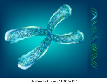 3D illustration of chromosomes. Genetics.  