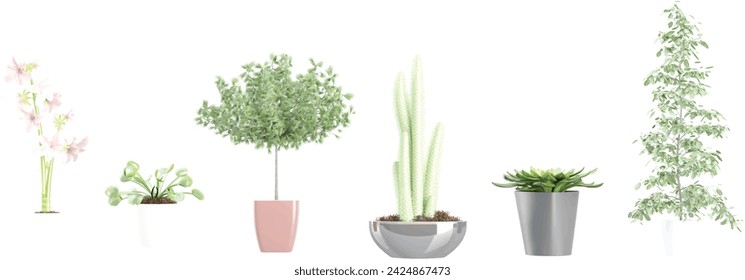 3d illustration of a collection of Myrtle,cactus semi,venus flytrap,bruno lily plants in pots, perfect for digital composition and architecture visualization