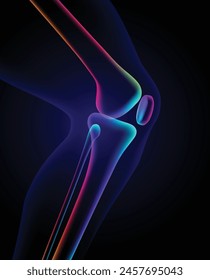 3D illustration of colorful knee bones in x-ray format on a dark blue background. Used in medicine, education, and science. Commercial and industrial.