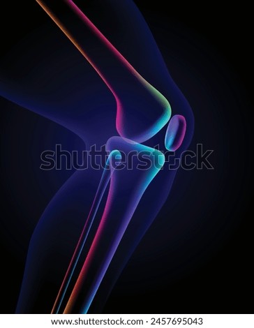 3D illustration of colorful knee bones in x-ray format on a dark blue background. Used in medicine, education, and science. Commercial and industrial.