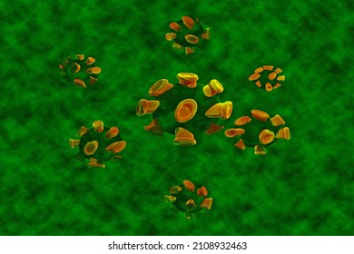 3D Illustration - Coronavirus - A green version of the pandemic coronavirus