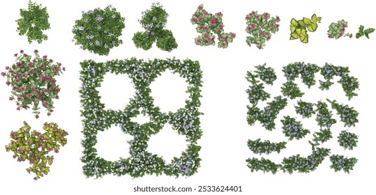 3d illustration of fluviatilis,maculatum plants isolated on transparent canvas from top view