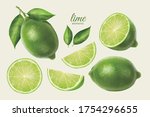 3d illustration of fresh lime set, with various view of whole lime fruit, halves and slices, isolated on light yellow background