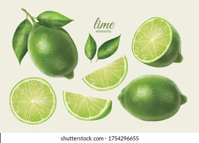 3d illustration of fresh lime set, with various view of whole lime fruit, halves and slices, isolated on light yellow background