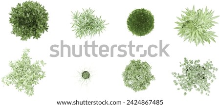 Similar – Image, Stock Photo Chestnut tree as bonsai