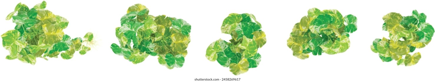 3D illustration of hanging plants on transparent background from  top view