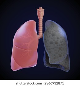 Ilustración 3D de pulmones humanos sanos y pulmón humeante, cáncer de pulmón de fondo azul-negro. Vista frontal de los pulmones humanos antes y después de fumar.