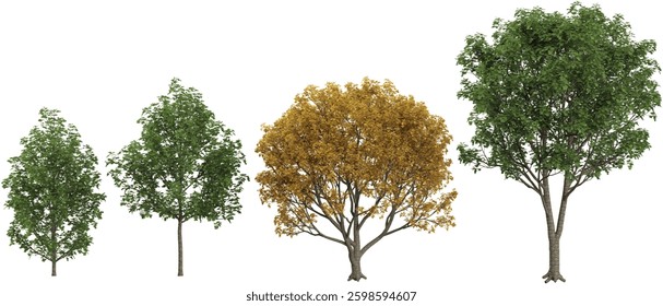 3d illustration of Hibiscus,Liriodendron trees on transparent background