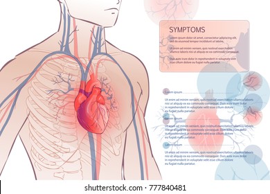 3d illustration of the human circulatory vascular system template. anatomical heart. man body parts. Hand drown vector sketch illustration isolated