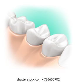 3d illustration intraoral, realistic model for hygiene or dental care product