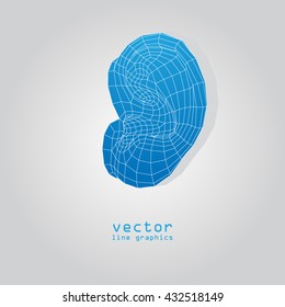 3d illustration. line graphics. ear. vector