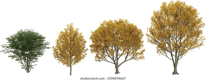 3d illustration of Lonicera,Liriodendron trees on transparent background