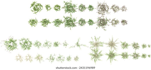 3d illustration of set grass isolated on white background stock photo from top view