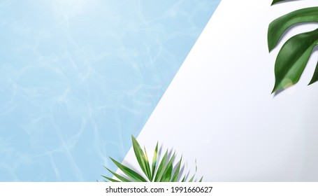 3d illustration of summer background for product display. Top view of beautiful swimming pool with water ripples and tropical leaves.