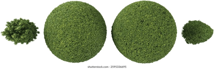 3d illustration of topiary trees on transparent background from the top view