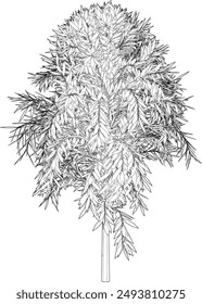 3D illustration of tree and plant