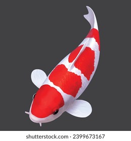 3D illustration Vector koi fish kohaku