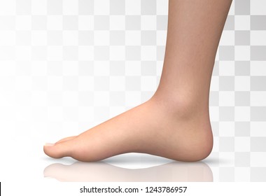 3d illustration,vector foot volume, health and shoe selection