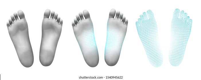 3d illustration,vector foot volume, health and shoe selection