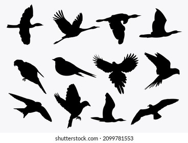 3D image of flying bird silhouette on white background