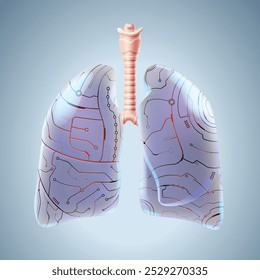 Imagem 3D de pulmões humanos, uma futura máquina que pode substituir os pulmões humanos reais. Usado em medicina, educação, ciência, comércio, publicidade e indústria.