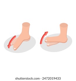 3D Isometric Flat Illustration of Muscular Motion, Abduction and Adduction Movements. Item 2