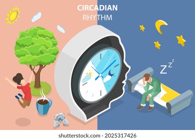 3D Isometric Flat Vector Conceptual Illustration of Circadian Rhythm, Natural Sleep-wake Biological Process