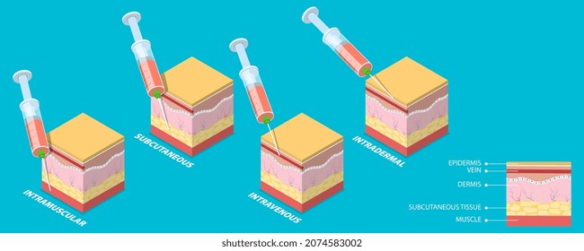 3D Isometric Flat Vector Conceptual Illustration of Injection Types, Different Techniques of Safe Injections