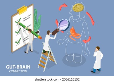 3D Isometric Flat Vector Conceptual Illustration Of Gut Brain Connection, Human Organ Interaction And Cooperation