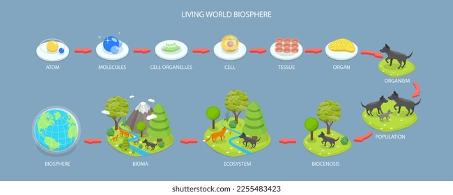 3D Isometric Flat Vector Conceptual Illustration of Living World Biosphere, Labeled Ecosystem Explanation Scheme Outline