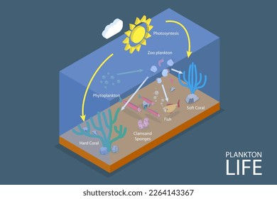 3D Isometric Flat Vector Conceptual Illustration of Plankton Life, Ocean Food Chain