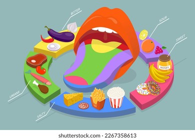 3D Isometric Flat Vector Conceptual Illustration of Human Five Tastes, Tongue Receptor Zones