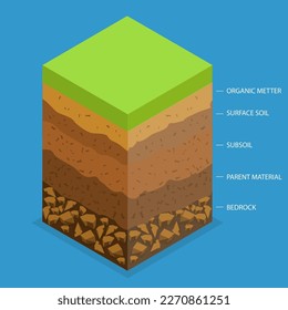 3D Isometric Flat Vector Conceptual Illustration of Layer Of Fertile Soil, Educational Schema