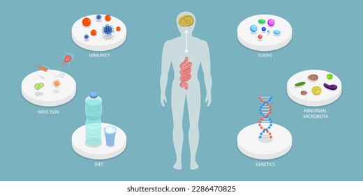 3D Isometric Flat Vector Conceptual Illustration of Microbiome, Gut Brain Connection