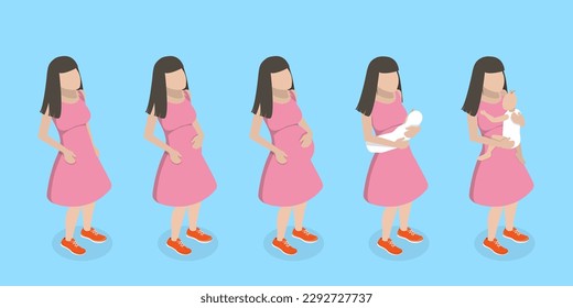 3D Isometric Flat Vector Conceptual Illustration of Stages Of Pregnancy, Changes in Female Body